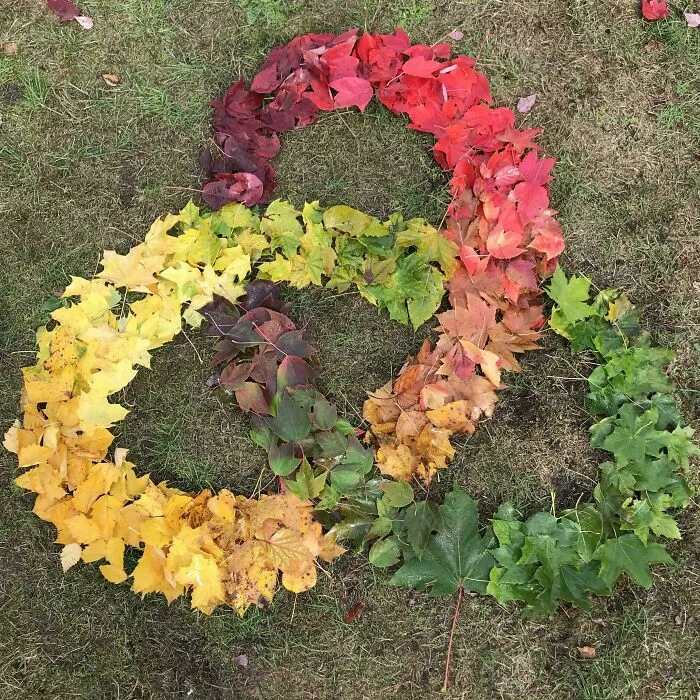 Leaf Art I Made