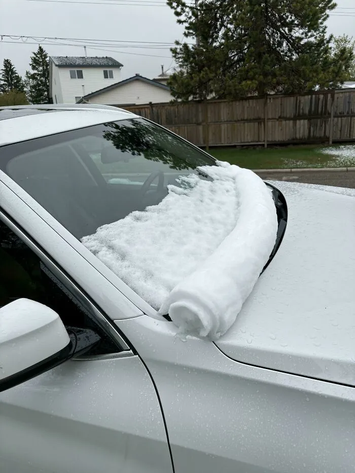 The Snow Rolled Off My Windshield Like A Carpet