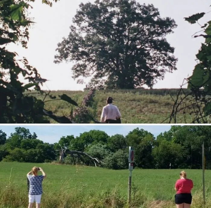 It Was Always A Personal Dream To Be Able To Go And Visit This Remarkable Oak Tree In The Shawshank Redemption