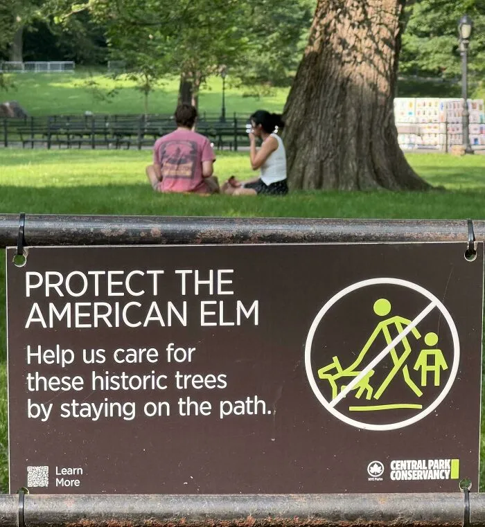 Central Park, NYC