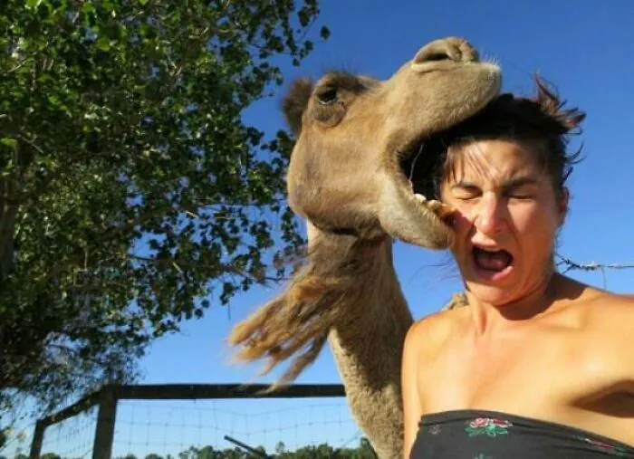 Now That's A Photobomb