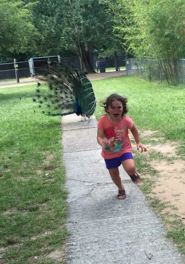 Our Trip To The Petting Zoo Did Not Go As Planned