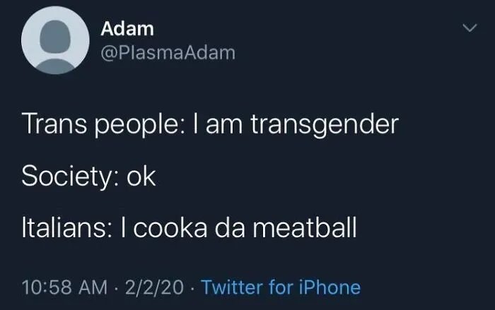 Screenshot of a tweet with a wholesome image, text about transgender people and Italians cooking meatballs.