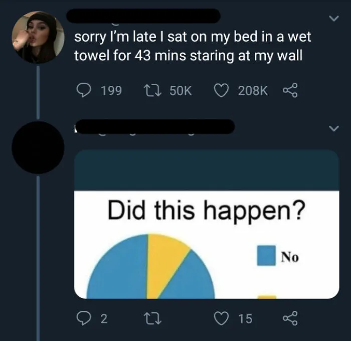 A tweet about people lying, with a poll asking Did this happen? showing a large No response, indicating skepticism.