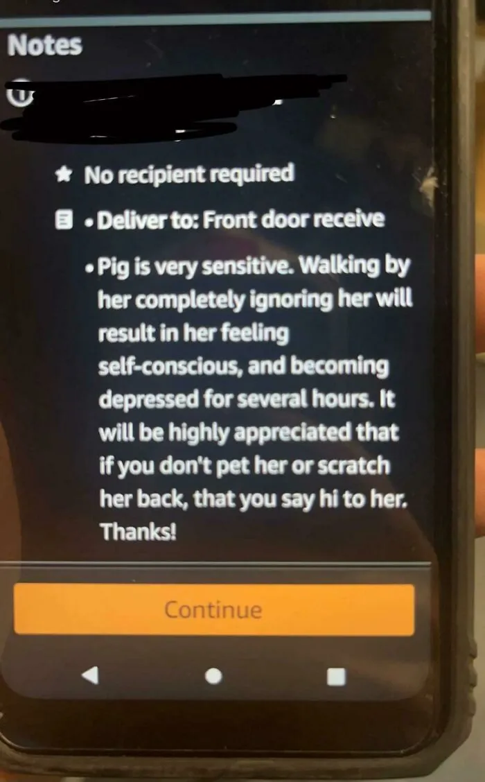 My Buddy Works For Amazon And These Were The Delivery Instructions 😭