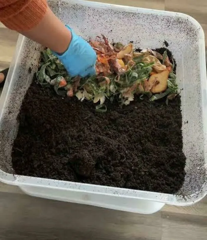 Worm Farming: Turning Local Coffee Grounds Into Money Bags Of Black Gold Xd