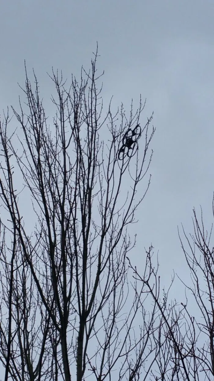 Drone Retrieval Service. I Rescue Drones Stuck In Trees For $75