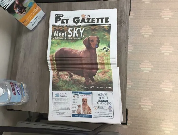 Was Bored At The Vets