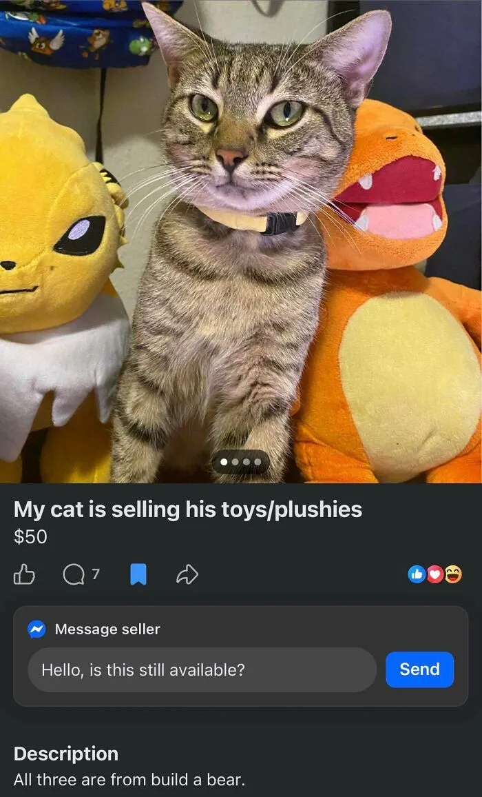Khajiit Has Wares If You Have Coin