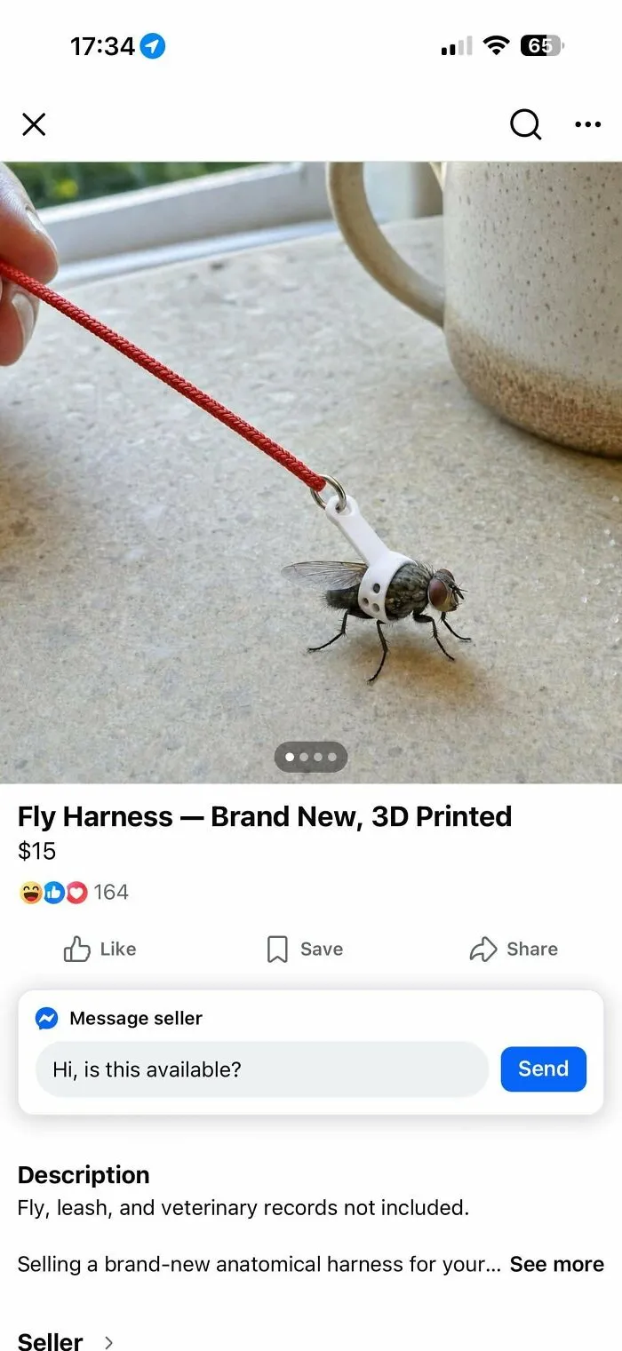 Thought This Belonged Here: Fly Harness