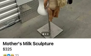 People Tried To Sell These 50 Things On Facebook Marketplace, No Context Given (New Pics)