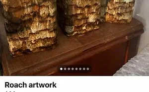 People Tried To Sell These 50 Things On Facebook Marketplace, No Context Given (New Pics)