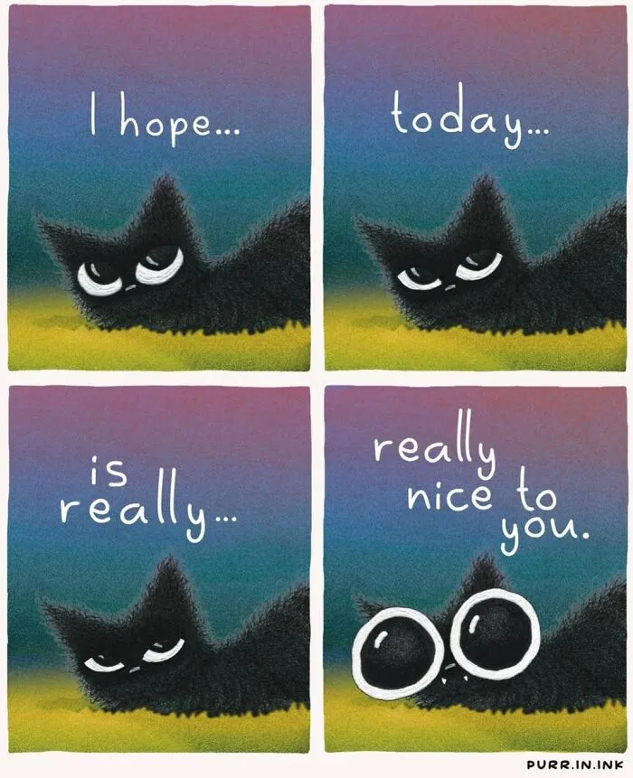 41 New Cat Illustrations By Luis Coelho That Are Cute, Clever, And Uplifting
