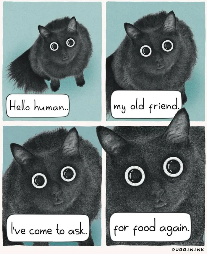 41 New Cat Illustrations By Luis Coelho That Are Cute, Clever, And Uplifting