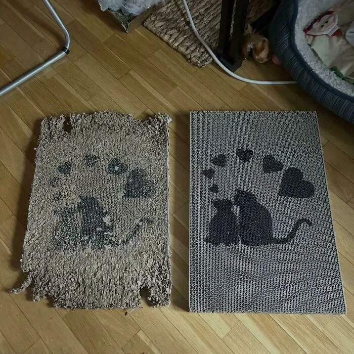 Cat’s Old Scratch Pad vs. New One