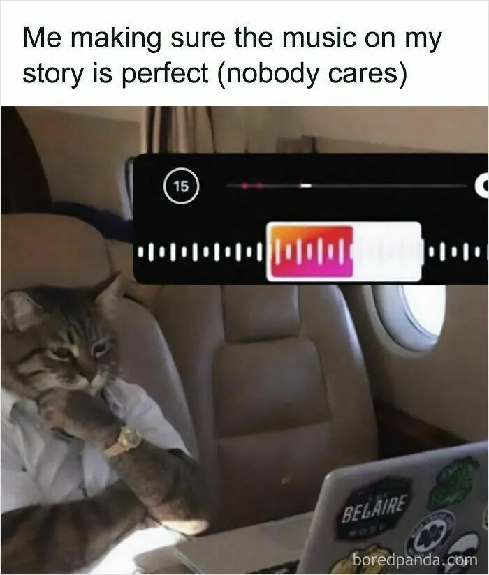 Cat memes: A cat in a suit in a private jet, looking at a laptop and curating music for a story.