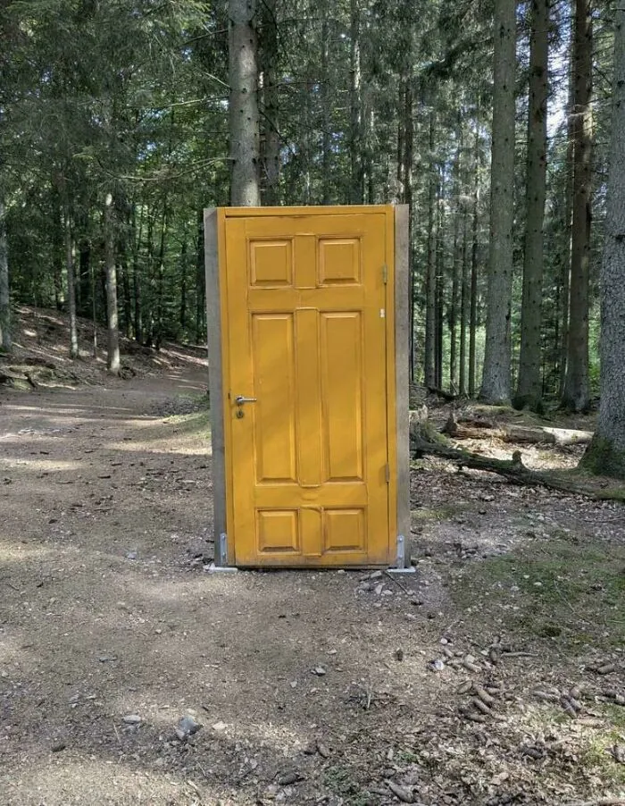 There’s A Door In The Middle Of The Forest