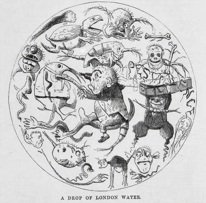 'A Drop Of London Water' Crammed Full Of Germs And Unpleasant Things. 1850