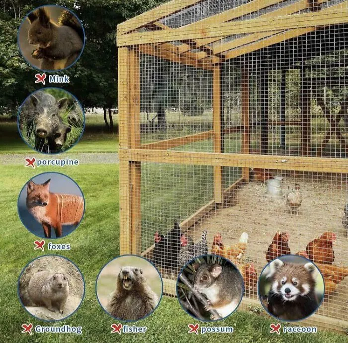 What Are Those Animals Again? (Shopping For Wire Mesh)