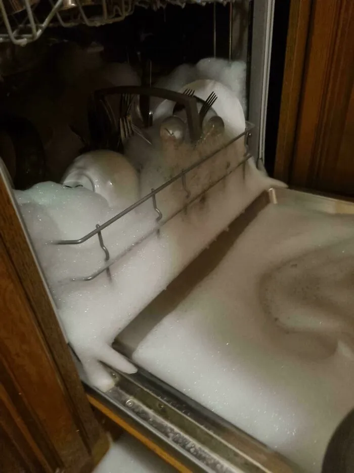 I've Told My Wife Not To Put Washing Up Liquid In The Dishwasher Because This Happens. She Didn't Believe Me
