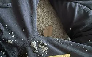 80 Times People Lost Their Cool Over Things That Were Really Not That Serious