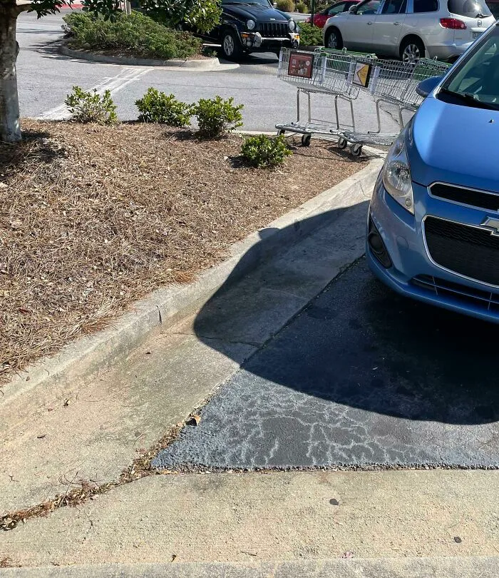 People Too Lazy To Put Their Carts Back