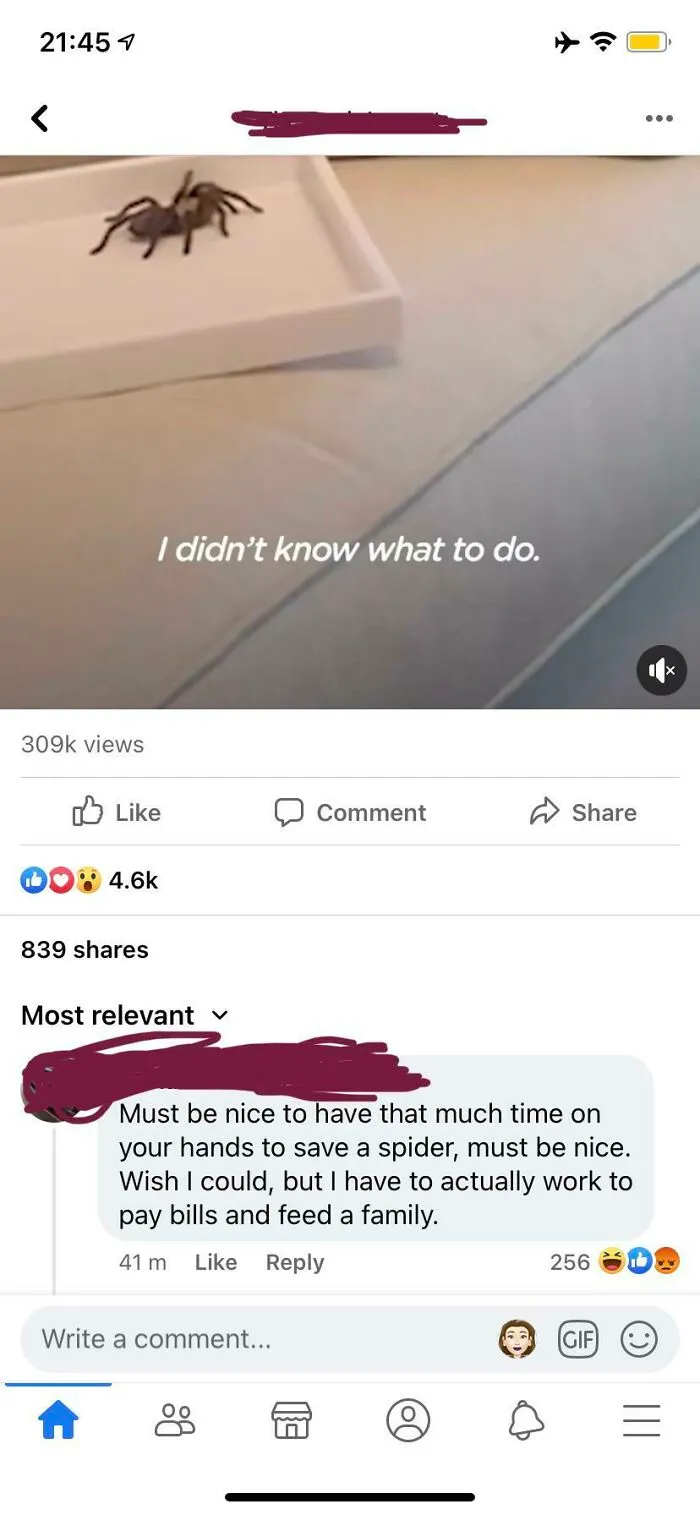 On A Cute Video, About A Woman Who Spent Months Rehabbing A Tarantula So It Could Go Back Outside