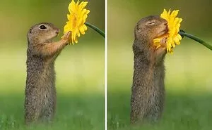 106 Times Nature Decided To Show Off And People Were Lucky Enough To Capture It