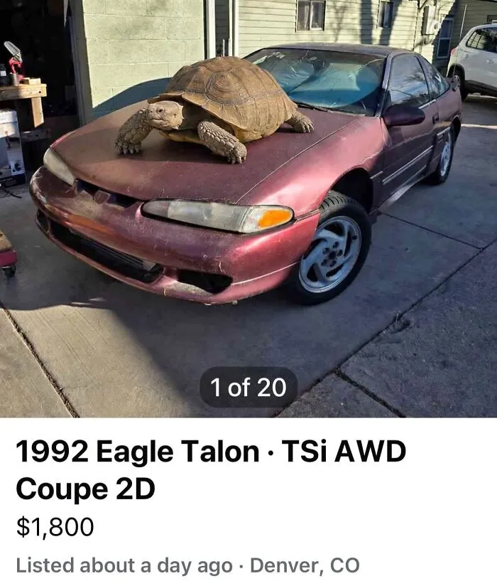 97 Online Marketplace Screenshots That Prove It’s A Magnet For The Weirdest People