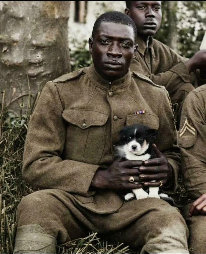 A Member Of The Harlem Hellfighters (369th Infantry Regiment) Poses For The Camera While Holding A Puppy He Saved During WWI, 1918