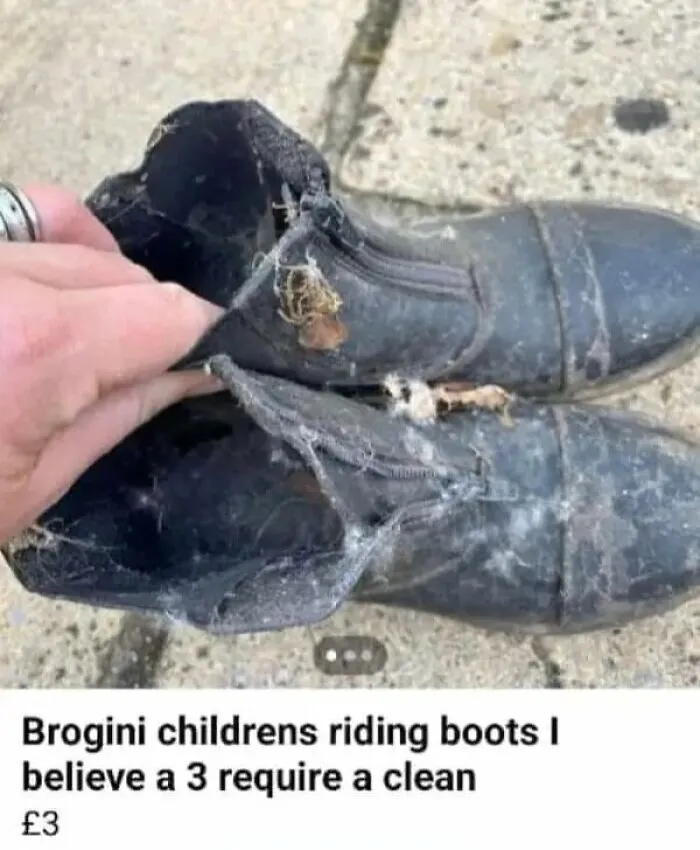 Funny-Facebook-Marketplace-Listings