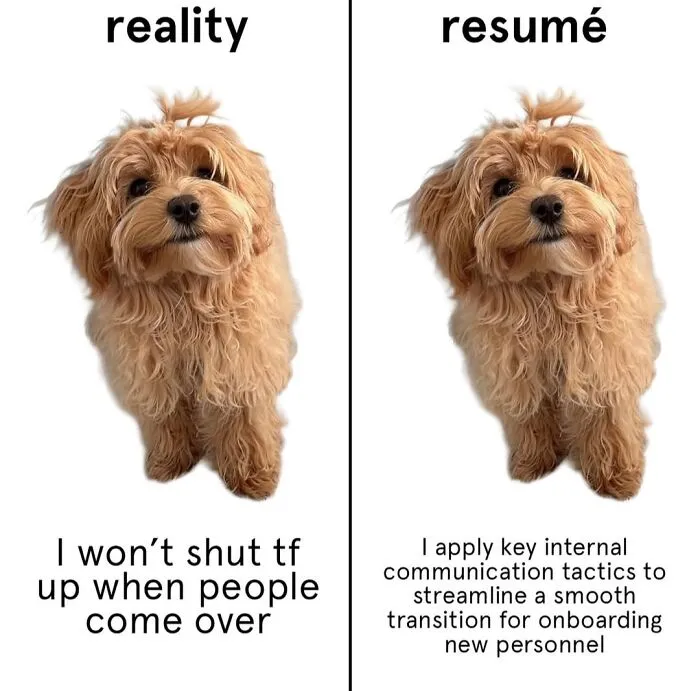 A Dog Toy Company Shares Memes About Its Favorite Customers, And They’re Too Accurate (35 Pics)