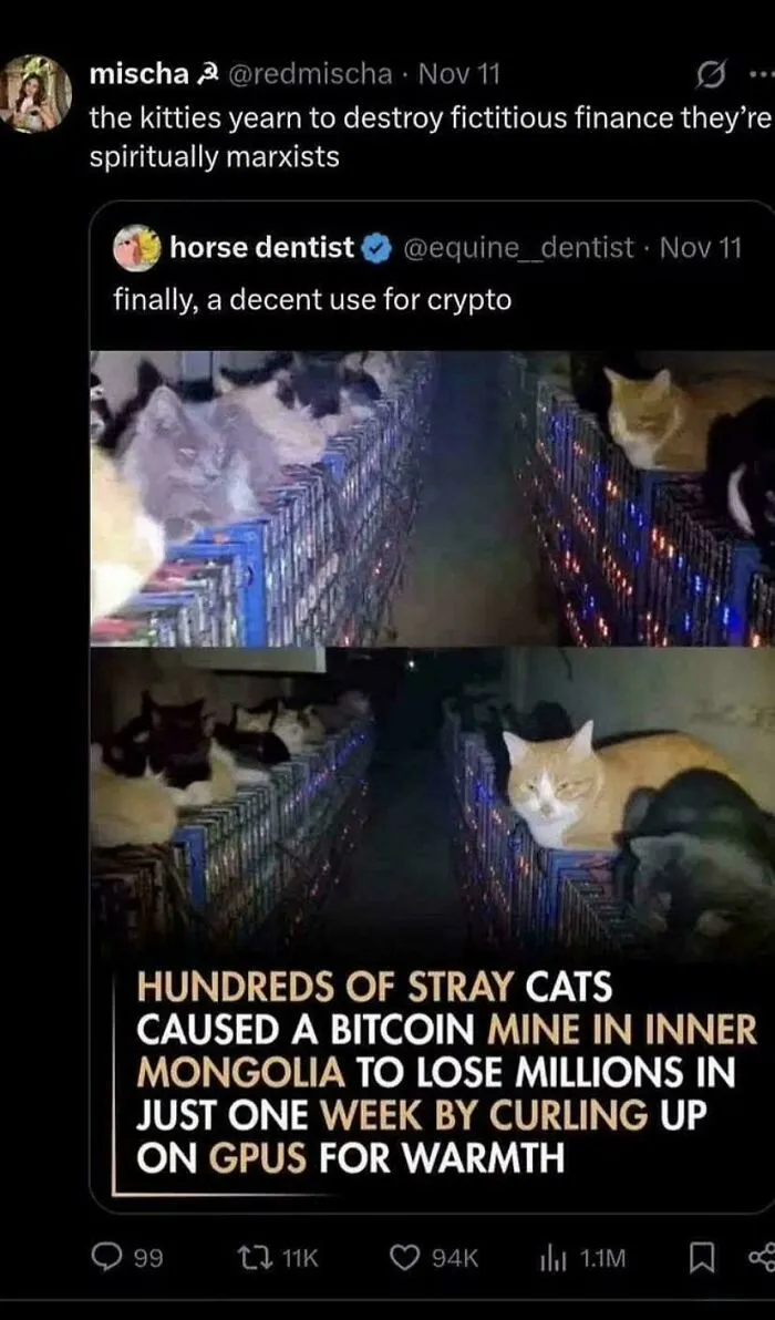 Blursed_gatos