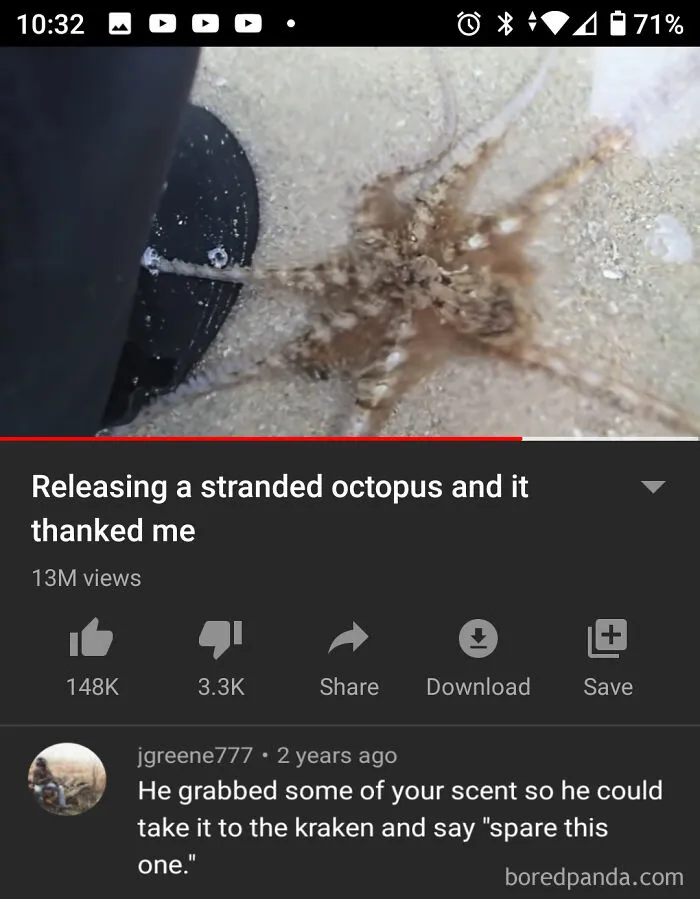 Blursed_survivor