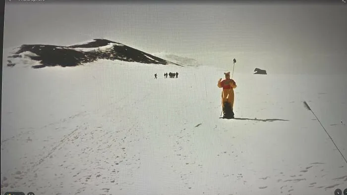 Winnie The Pooh On South Pole?