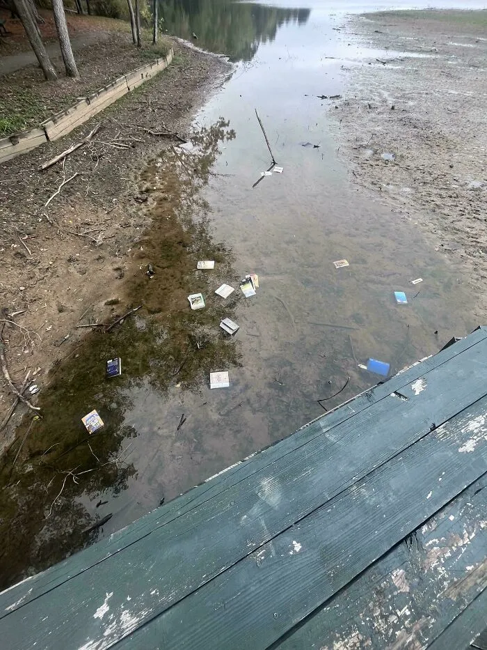 Someone Threw Books From The Little Library Into The Water