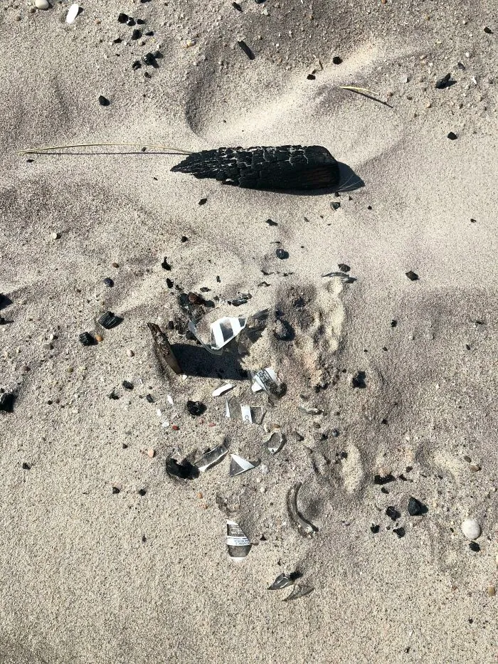 Someone Had A Bonfire On A Public Beach And Threw Glass Bottles Into It, The Covered It With Sand