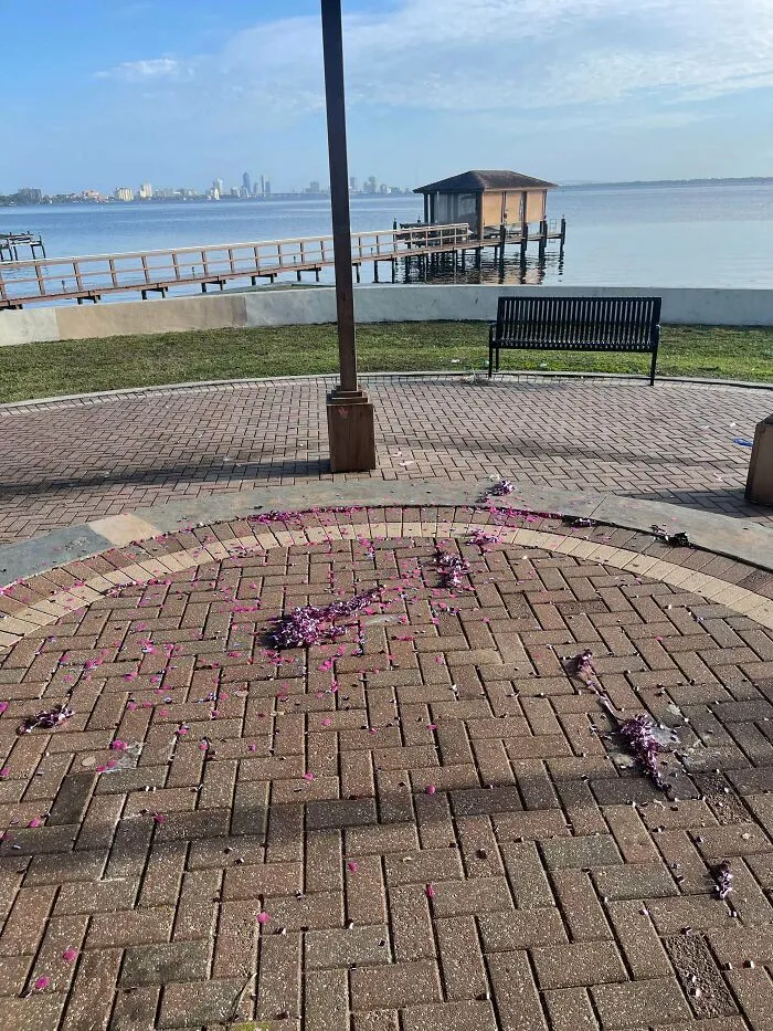 Please Dont Do This To Public Parks