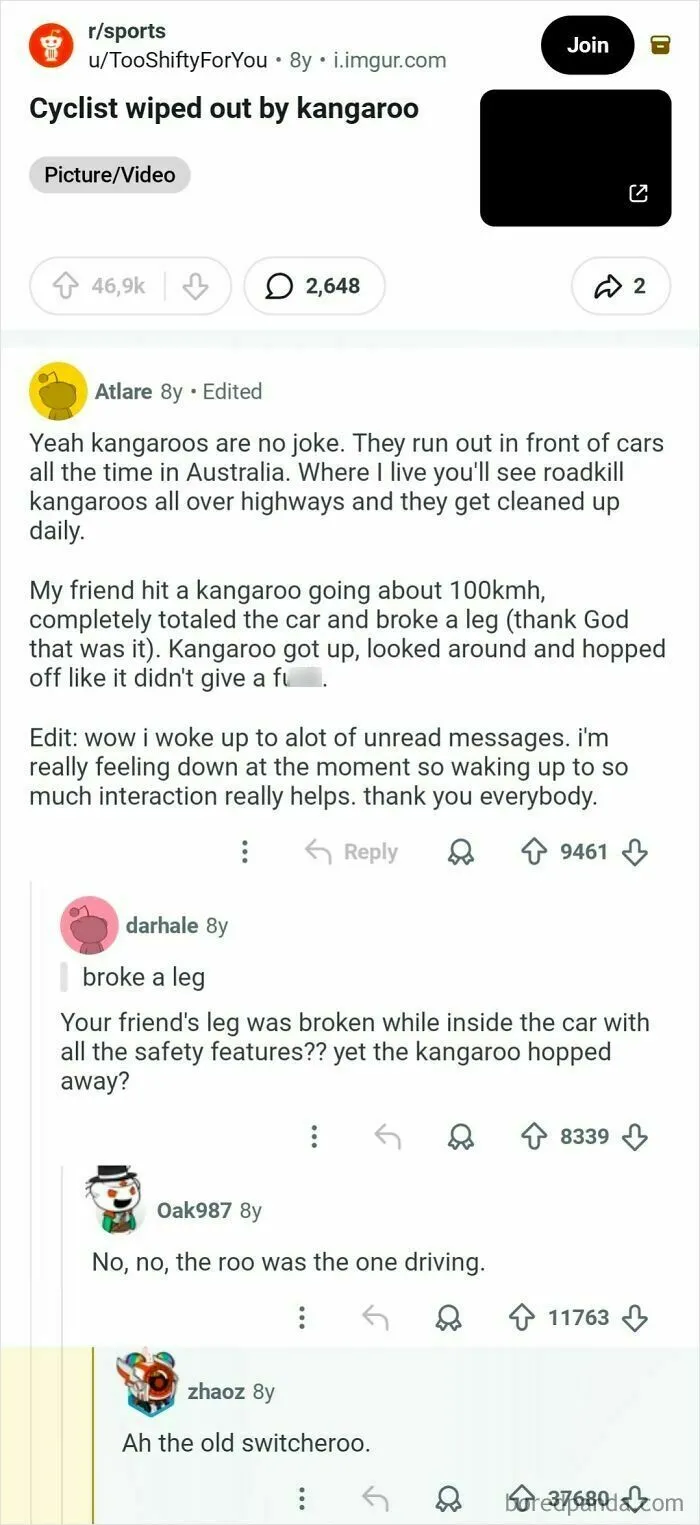 Cyclist Wiped Out By Kangaroo