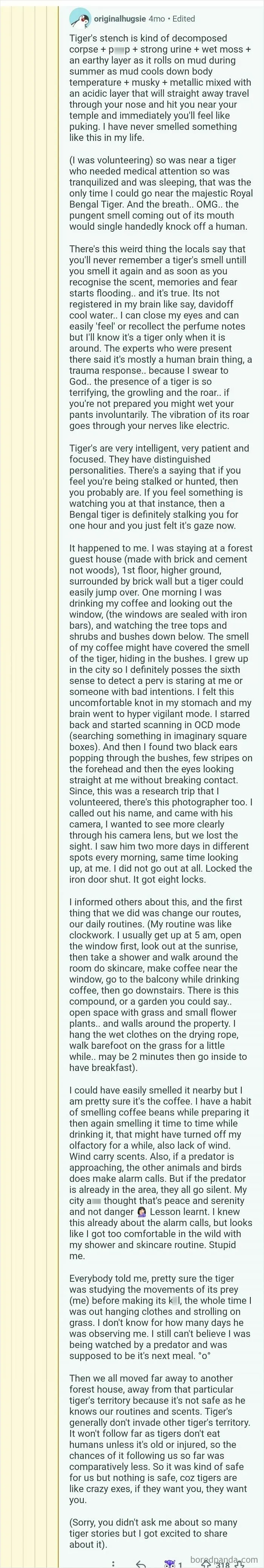 An image of an online post describing an experience with a tiger's sense of smell and other comments.