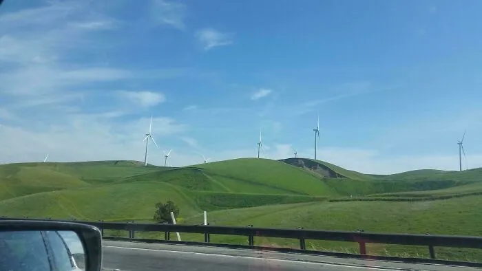 Field I Saw In 2008