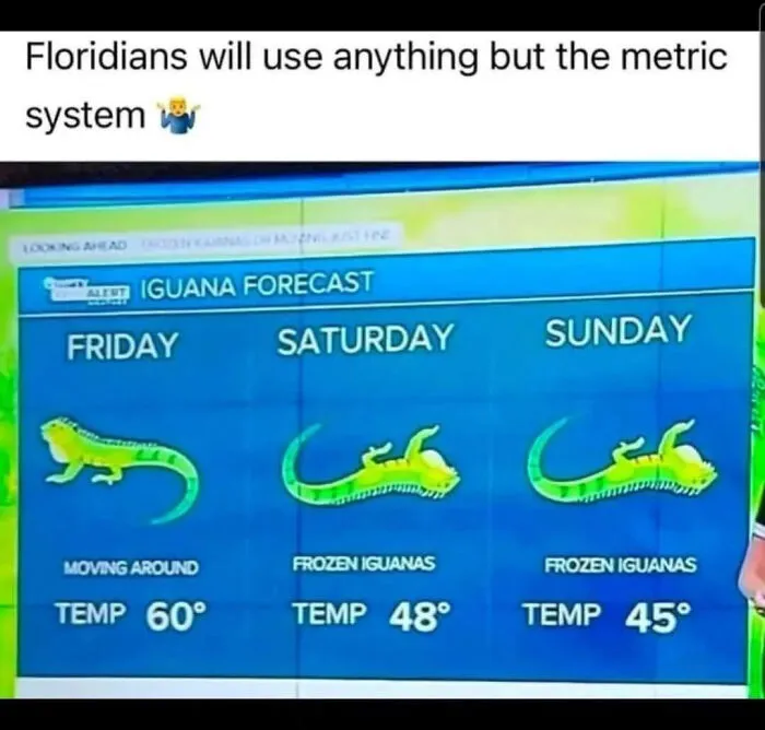 75 Things Floridians Saw That Made Even Them Do A Double Take