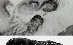 “Help Me Find”: 37 Times The Internet Helped People Track Down The Most Random Things