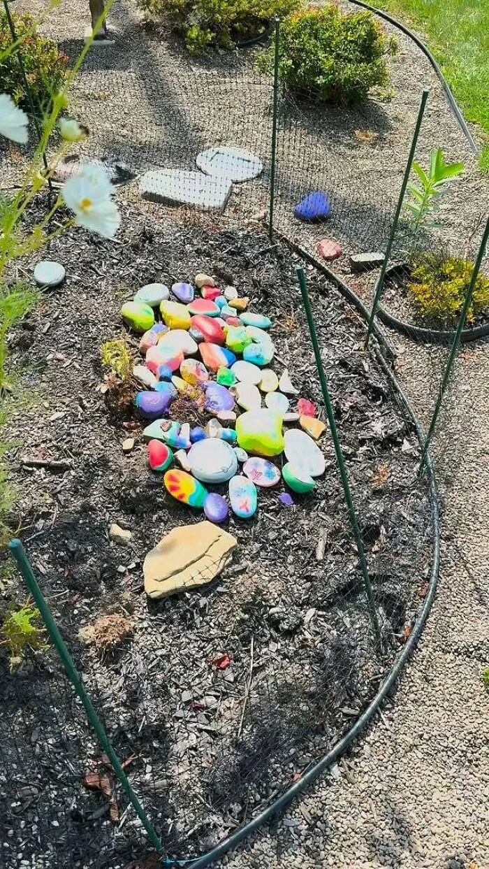 A garden patch filled with colorful painted rocks, a dream translated into a real deal, a sign from the universe.