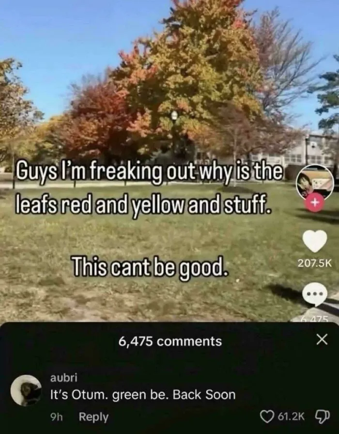 A social media post with a user asking why leaves are red and yellow, showcasing people so dumb.