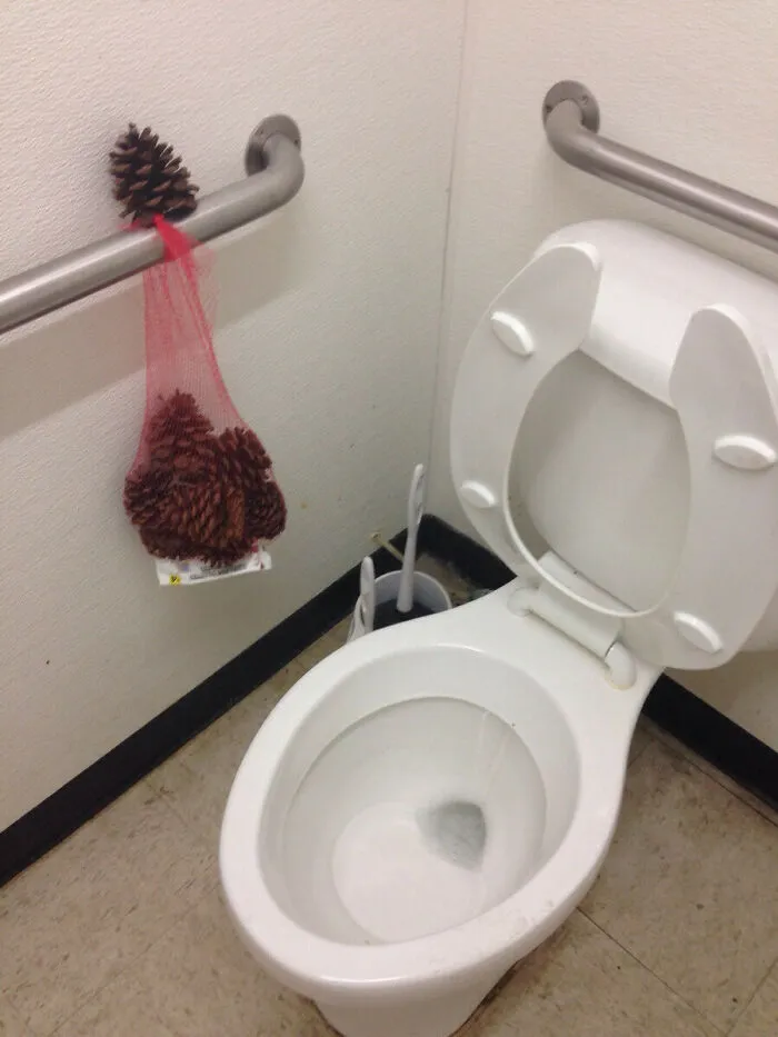 Pinecones in a mesh bag hanging above a toilet, a dumb idea.