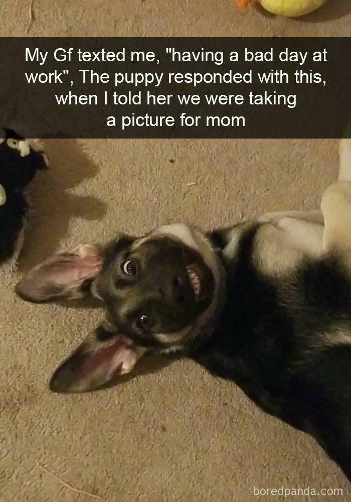This Really Made My Day So I Wanna Share