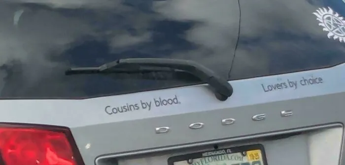 Cousins By Birth Lovers By Choice?