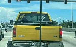 73 Florida Pics That Make Common Sense Feel Optional
