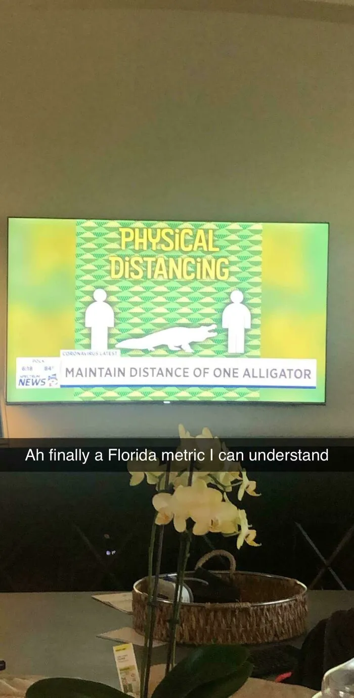 On The Florida News Today: